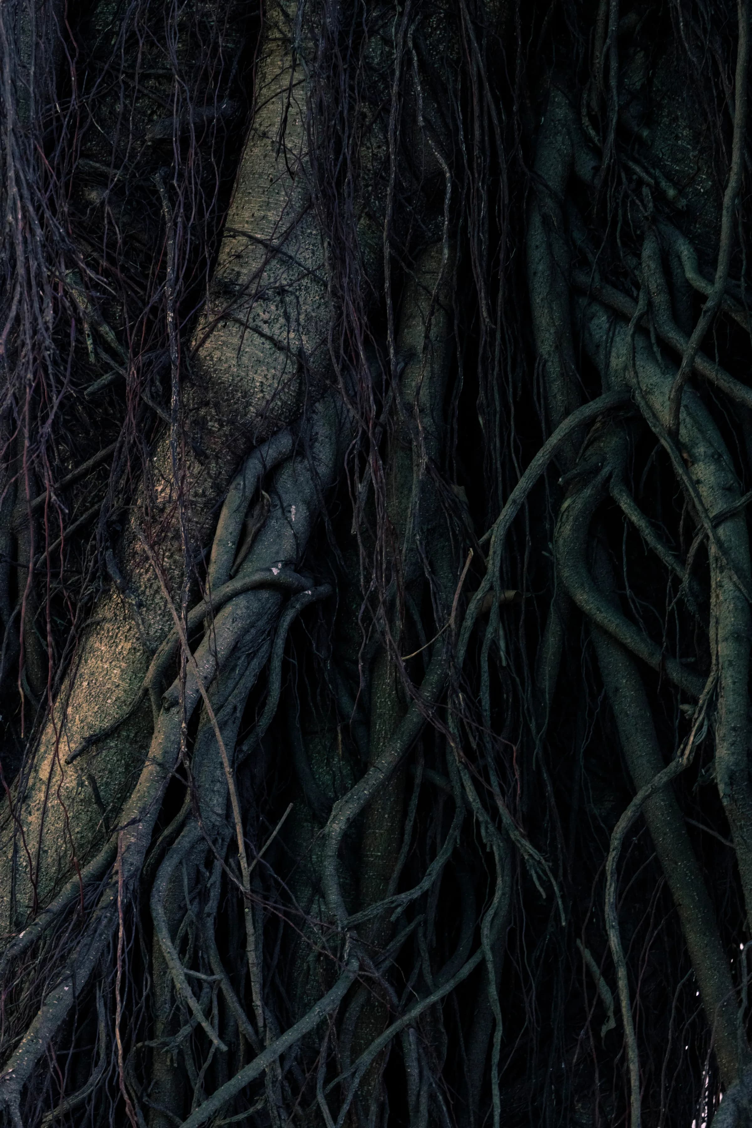 ZEN – 1