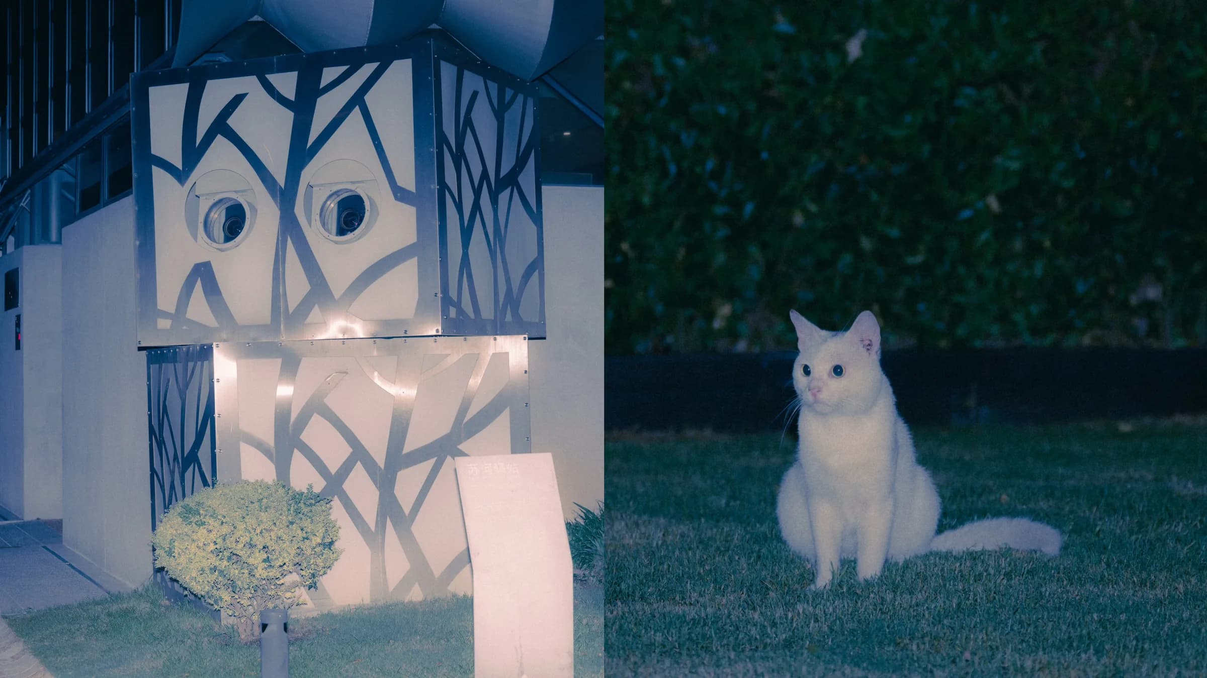 Madcity – 5